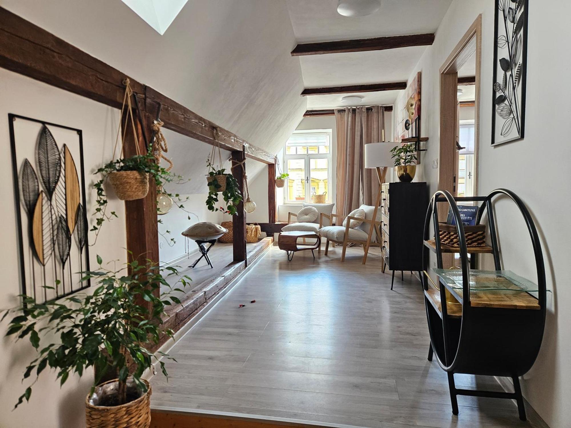 Apartament Andromeda *